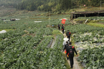 福建農信：牢記囑托，為決戰決勝脫貧攻堅與成果拓展鞏固注入金融動能